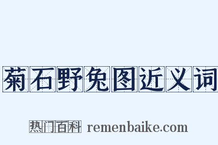 菊石野兔图近义词是什么意思的图片